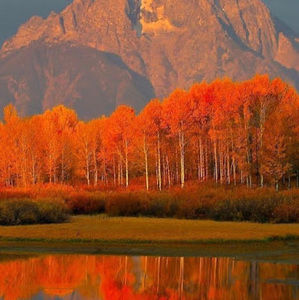 Meet your Posher, Martha